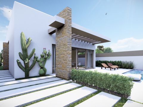 Villa New build in San Miguel de Salinas